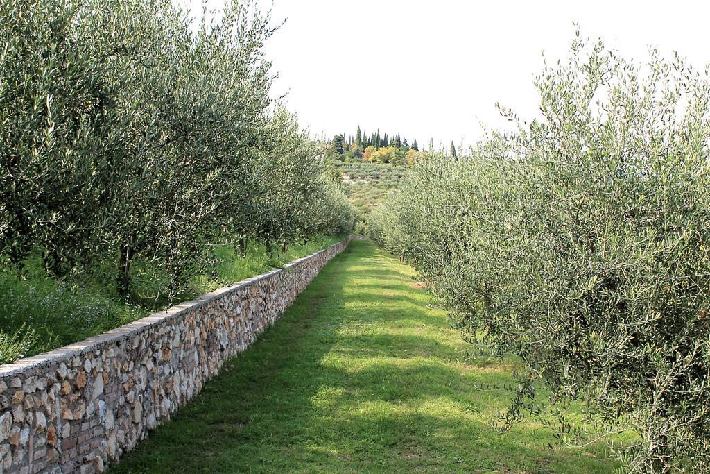 Ca' Dei Coci B&B Сан-Мартино-Буон-Альберго Экстерьер фото